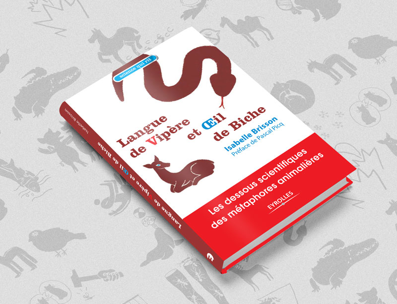 book-languesDeVipereOeilDeBiche